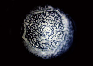 113_divine_presence_20181003122902