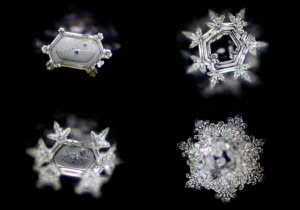 114_divine_presence_20181003122901