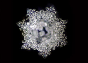 116_divine_presence_20181003122851