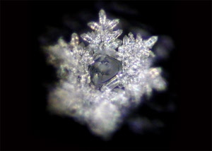 119_divine_presence_20181003122851