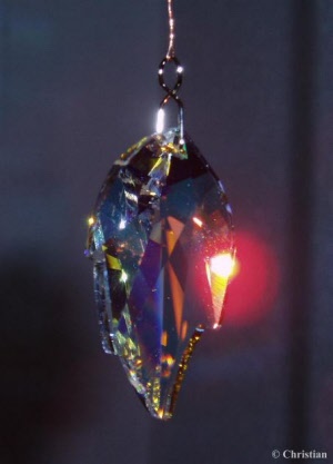 feuille_20181003122851