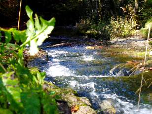 Vallée du Hérisson
