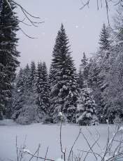 Tempête sur le Jura