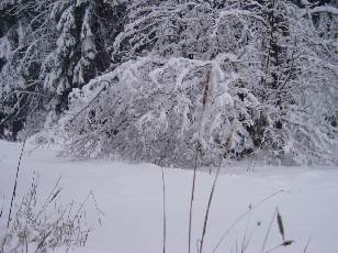 Tempête sur le Jura