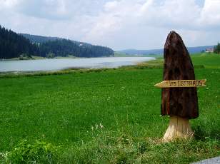 Le lac des Taillres