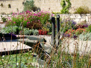 Jardin botanique au mois d'aot  Genve