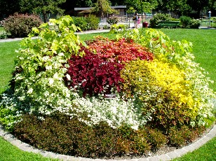 Jardin botanique au mois d'aot  Genve