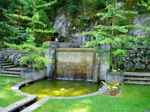 Jardin botanique au mois d'aot  Neuchtel