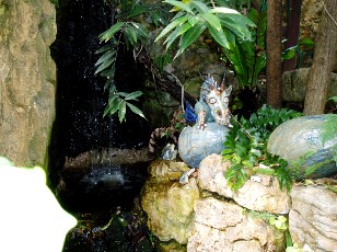Jardin botanique au mois d'aot  Neuchtel