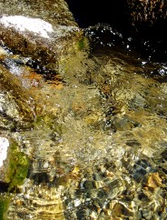 Magie et Beauté de la Nature au Pont d'Espagne !